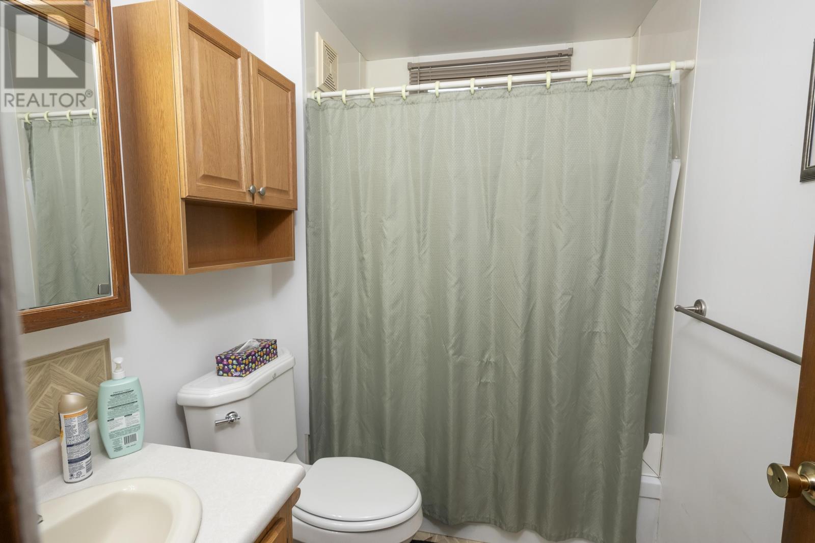 156 Francis St E, Thunder Bay, Ontario  P7E 4B1 - Photo 26 - TB253494