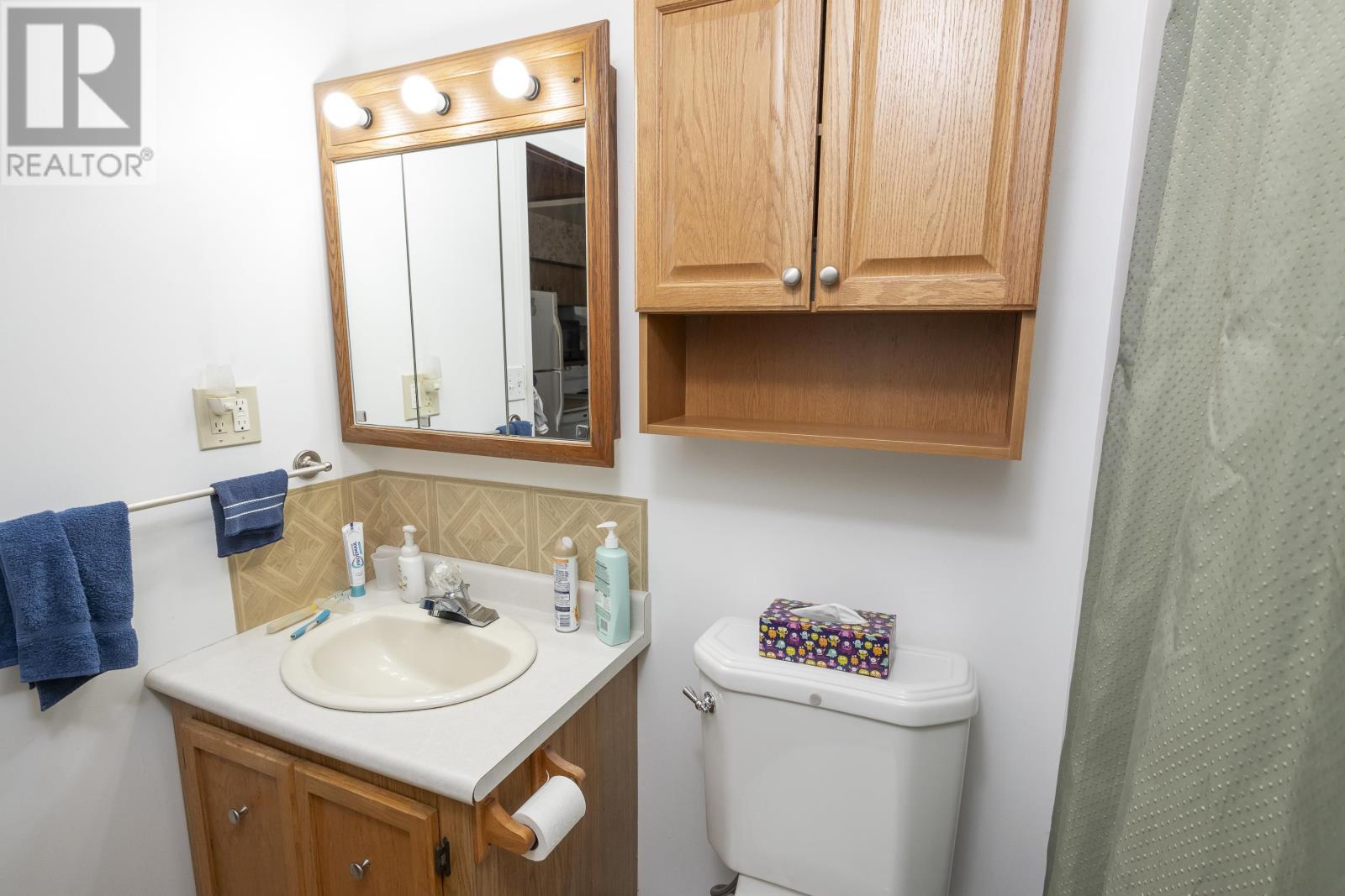 156 Francis St E, Thunder Bay, Ontario  P7E 4B1 - Photo 27 - TB253494