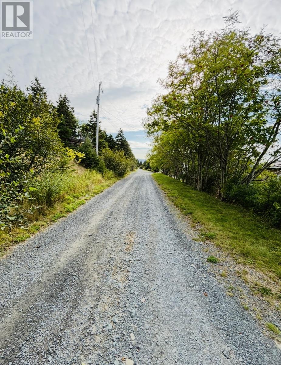 128 Goulds Ridge Road, Roaches Line, Newfoundland & Labrador  A0A 1W0 - Photo 41 - 1290715