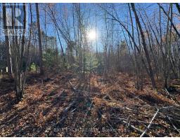 PART 2, PLAN 46R-8228 BOUNDARY RD ROAD, Alfred and Plantagenet, Ontario