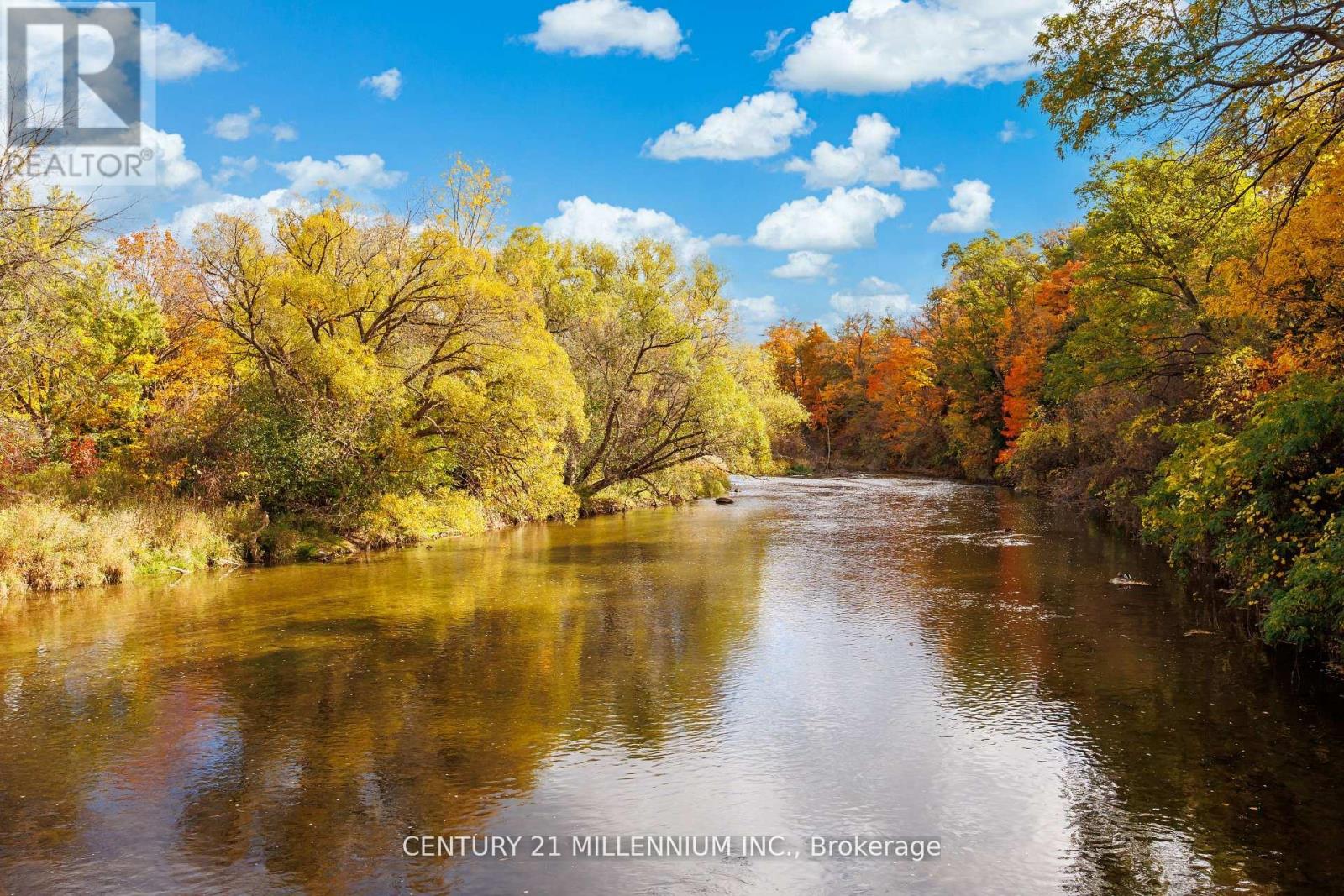 2 Pine Cliff Drive, Mississauga, Ontario  L5N 1E1 - Photo 36 - W12551410