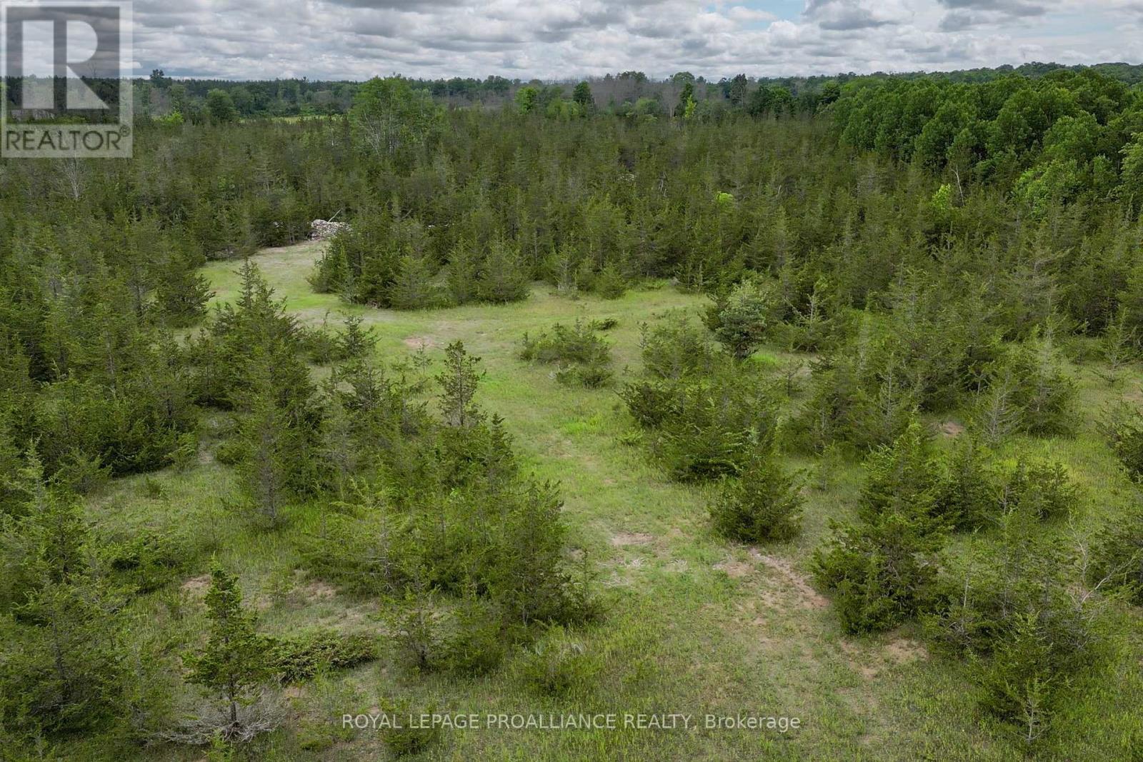 89 Power Road, Tyendinaga, Ontario K0K 3A0 - Photo 12 - X12551674
