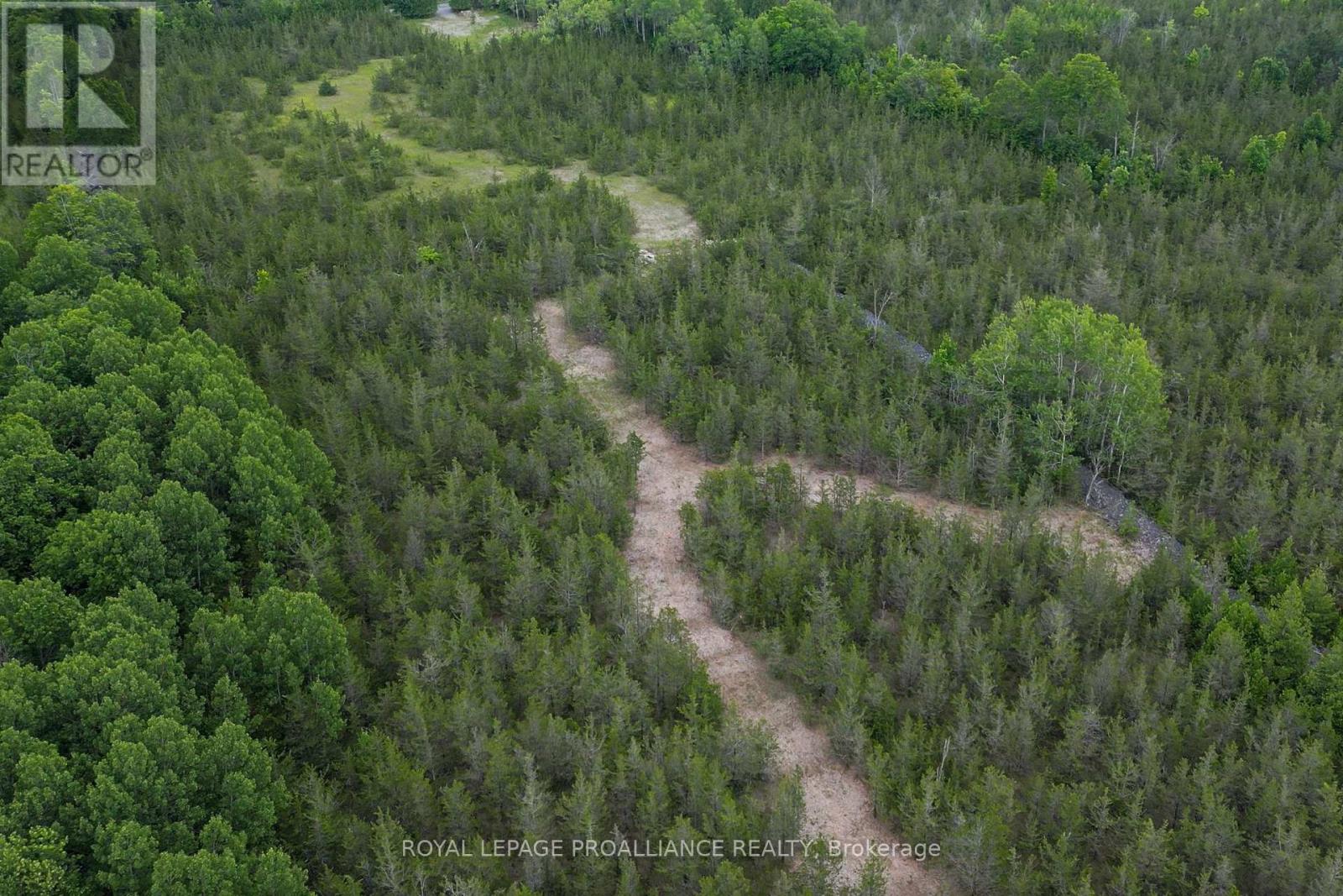 89 Power Road, Tyendinaga, Ontario K0K 3A0 - Photo 15 - X12551674