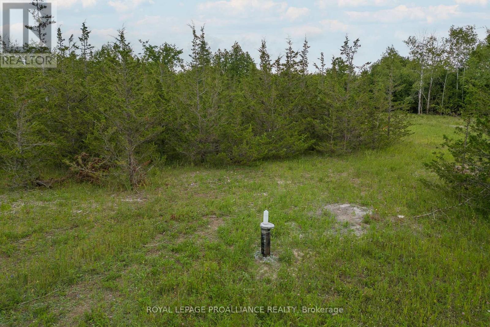 89 Power Road, Tyendinaga, Ontario K0K 3A0 - Photo 17 - X12551674