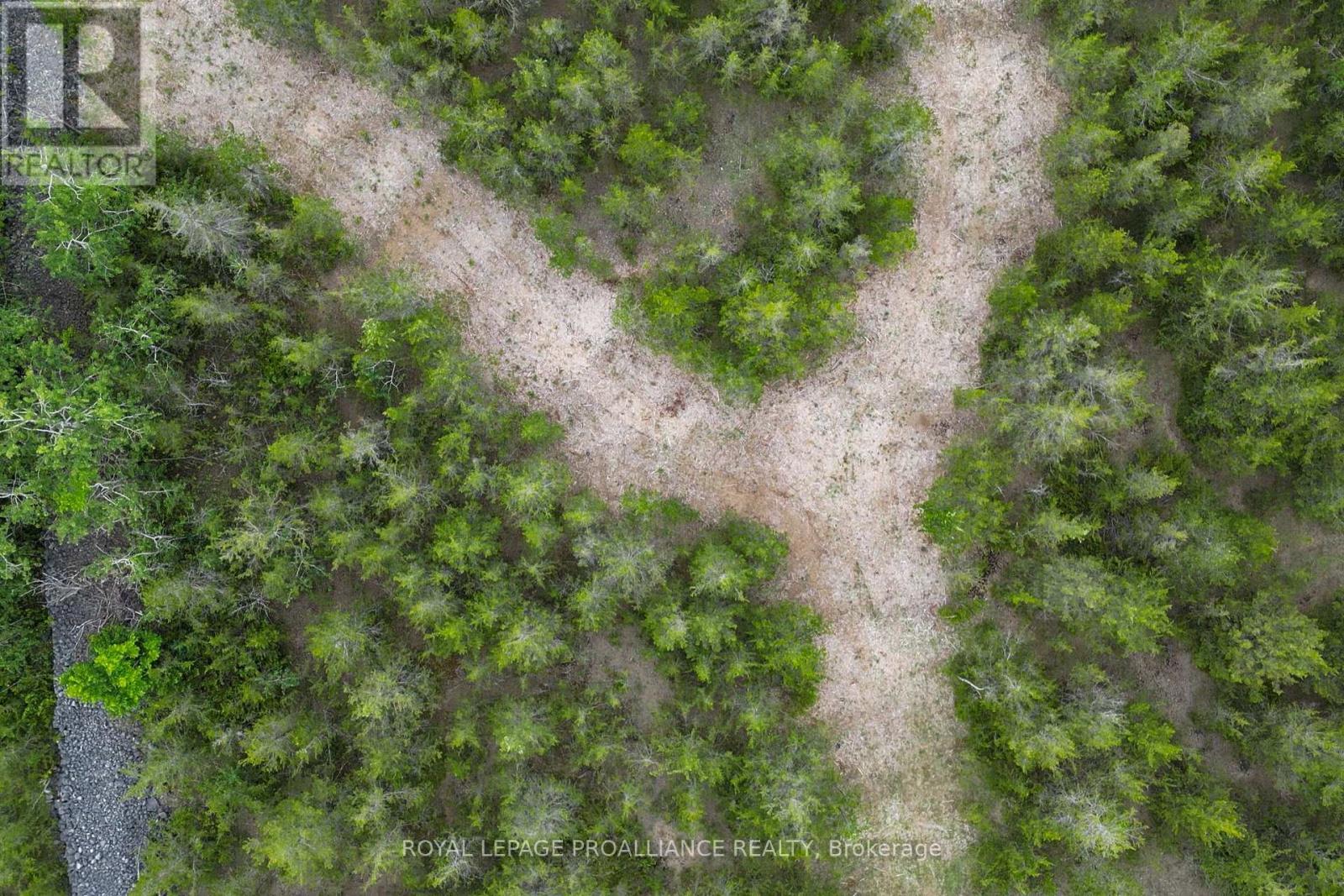 89 Power Road, Tyendinaga, Ontario K0K 3A0 - Photo 19 - X12551674