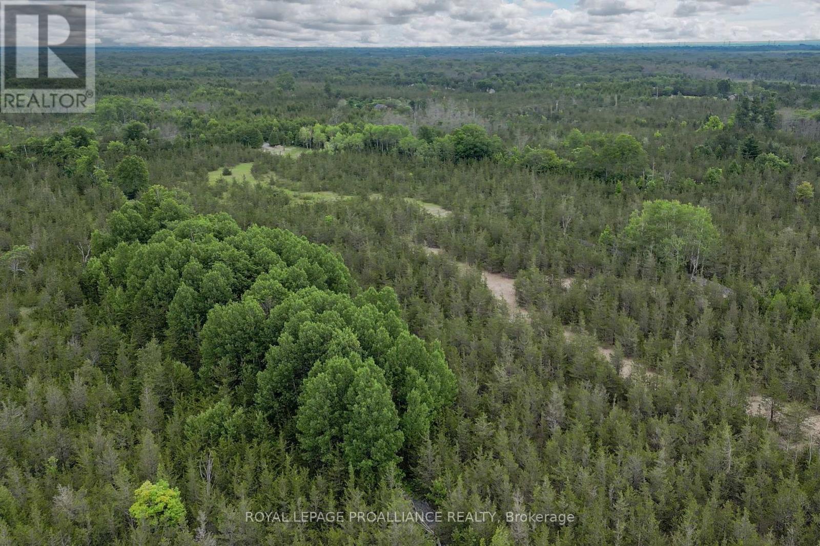 89 Power Road, Tyendinaga, Ontario K0K 3A0 - Photo 20 - X12551674