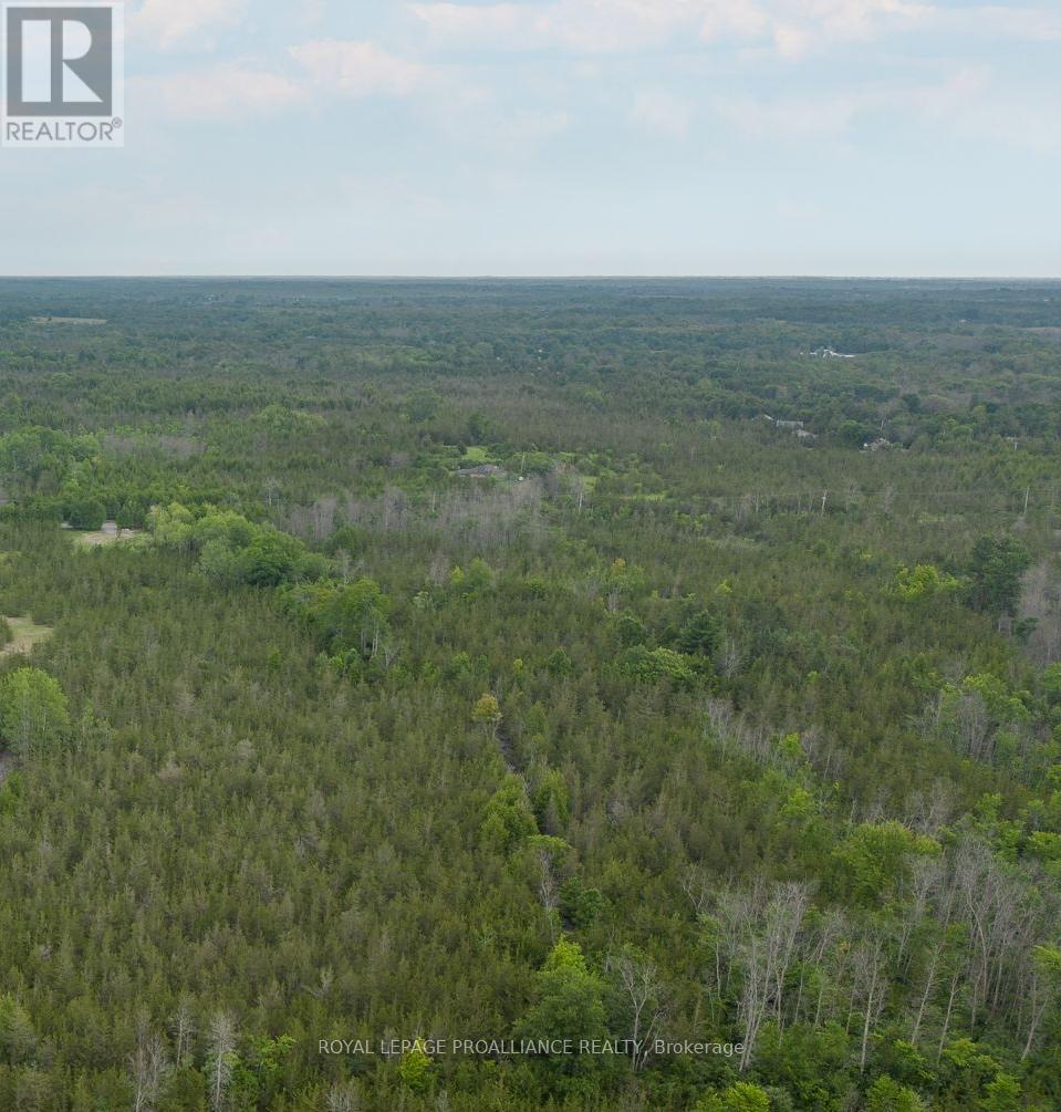 89 Power Road, Tyendinaga, Ontario K0K 3A0 - Photo 25 - X12551674