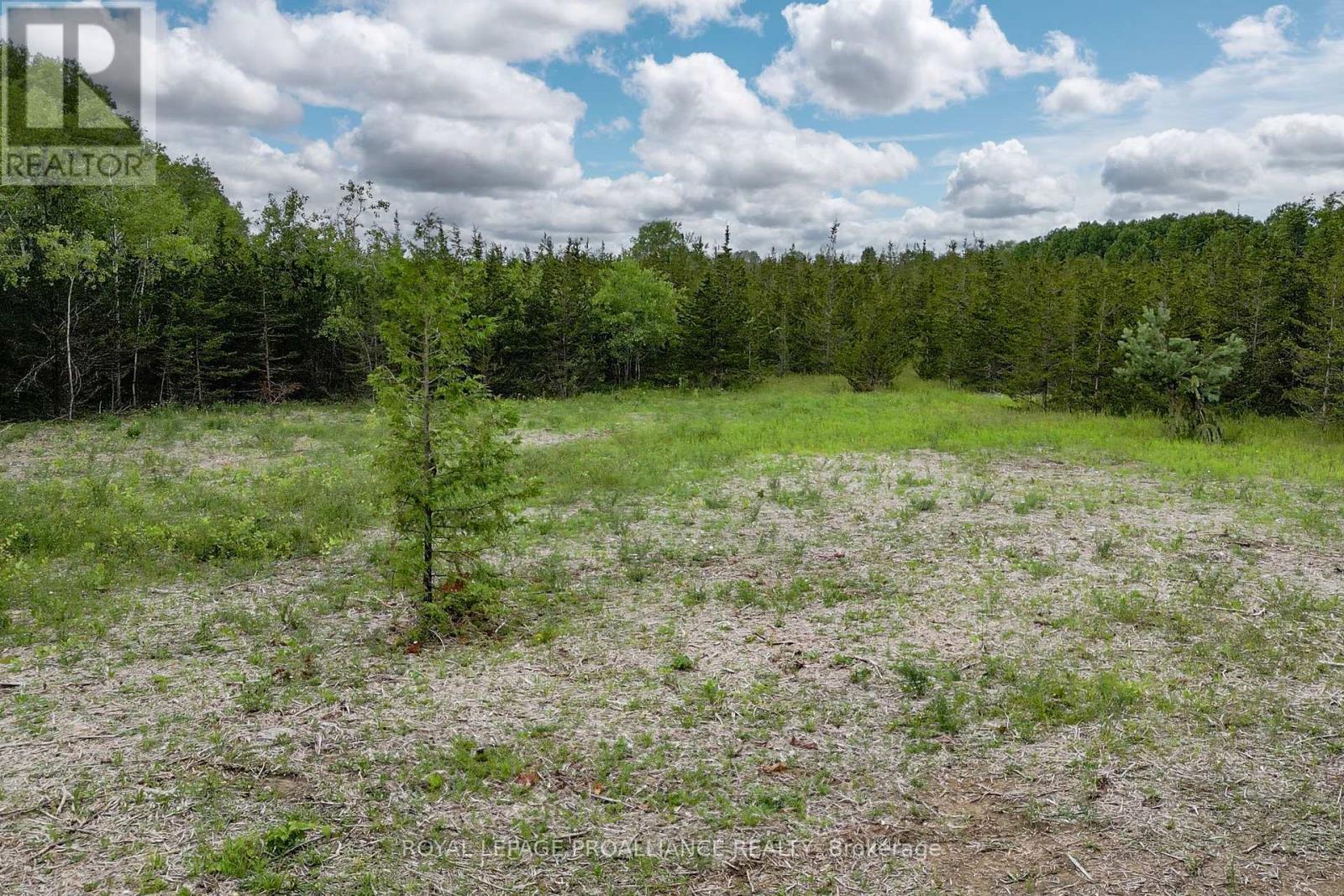 89 Power Road, Tyendinaga, Ontario K0K 3A0 - Photo 7 - X12551674