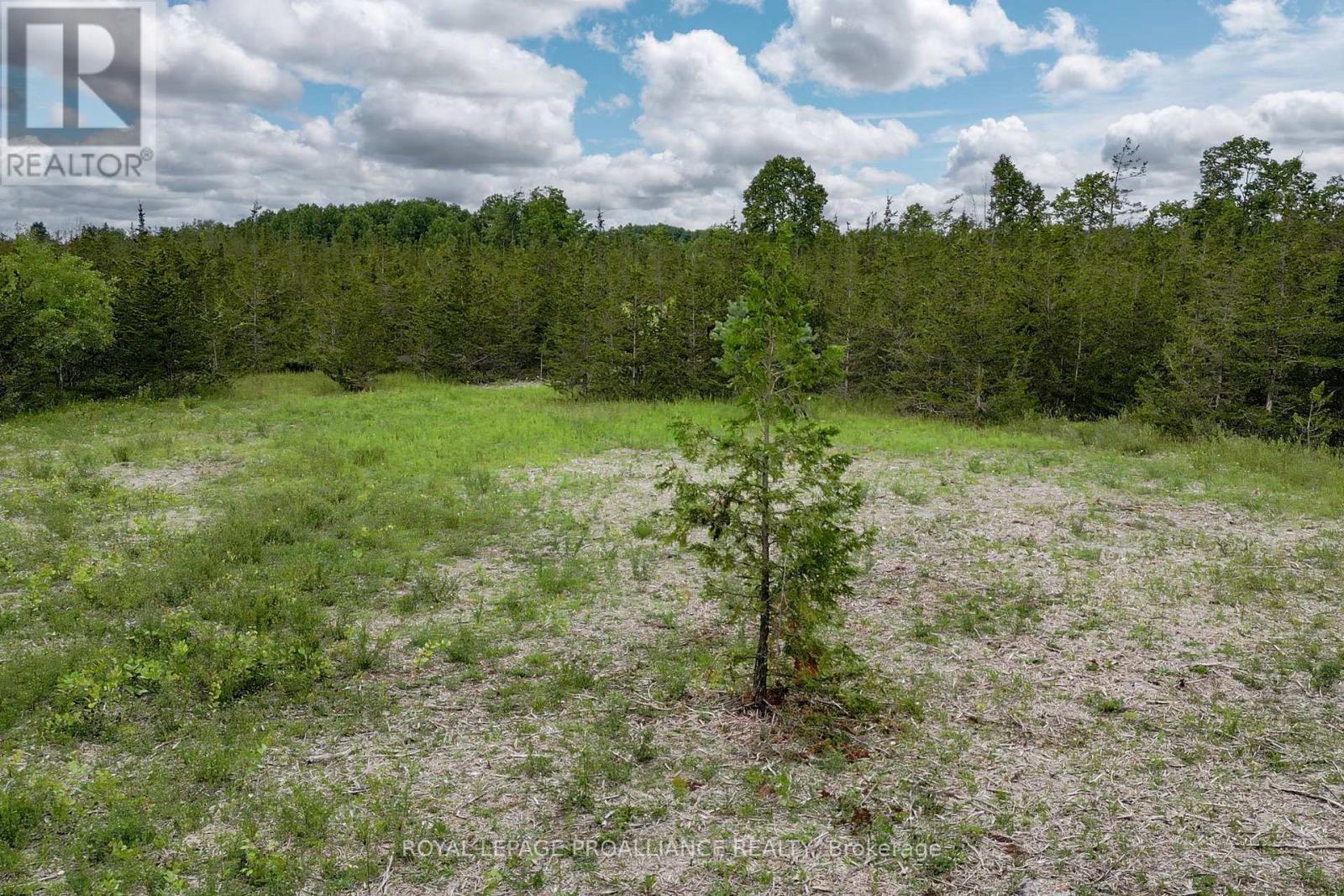 89 Power Road, Tyendinaga, Ontario K0K 3A0 - Photo 9 - X12551674