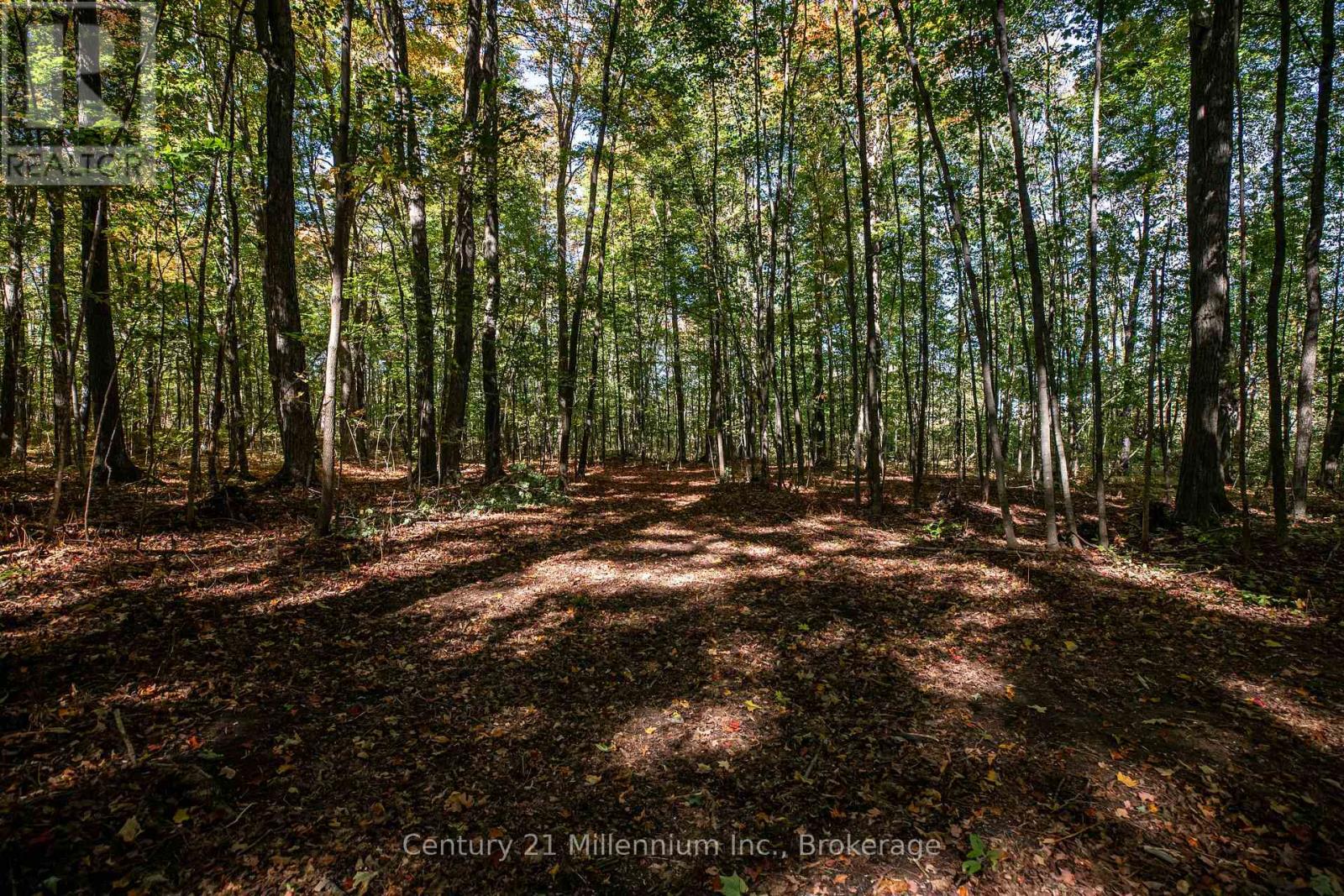 374518 6th Line, Amaranth, Ontario  L9W 0M7 - Photo 32 - X12551470