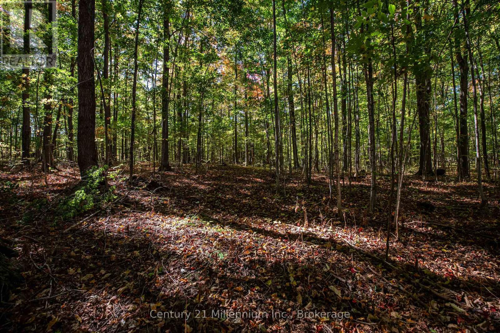 374518 6th Line, Amaranth, Ontario  L9W 0M7 - Photo 33 - X12551470