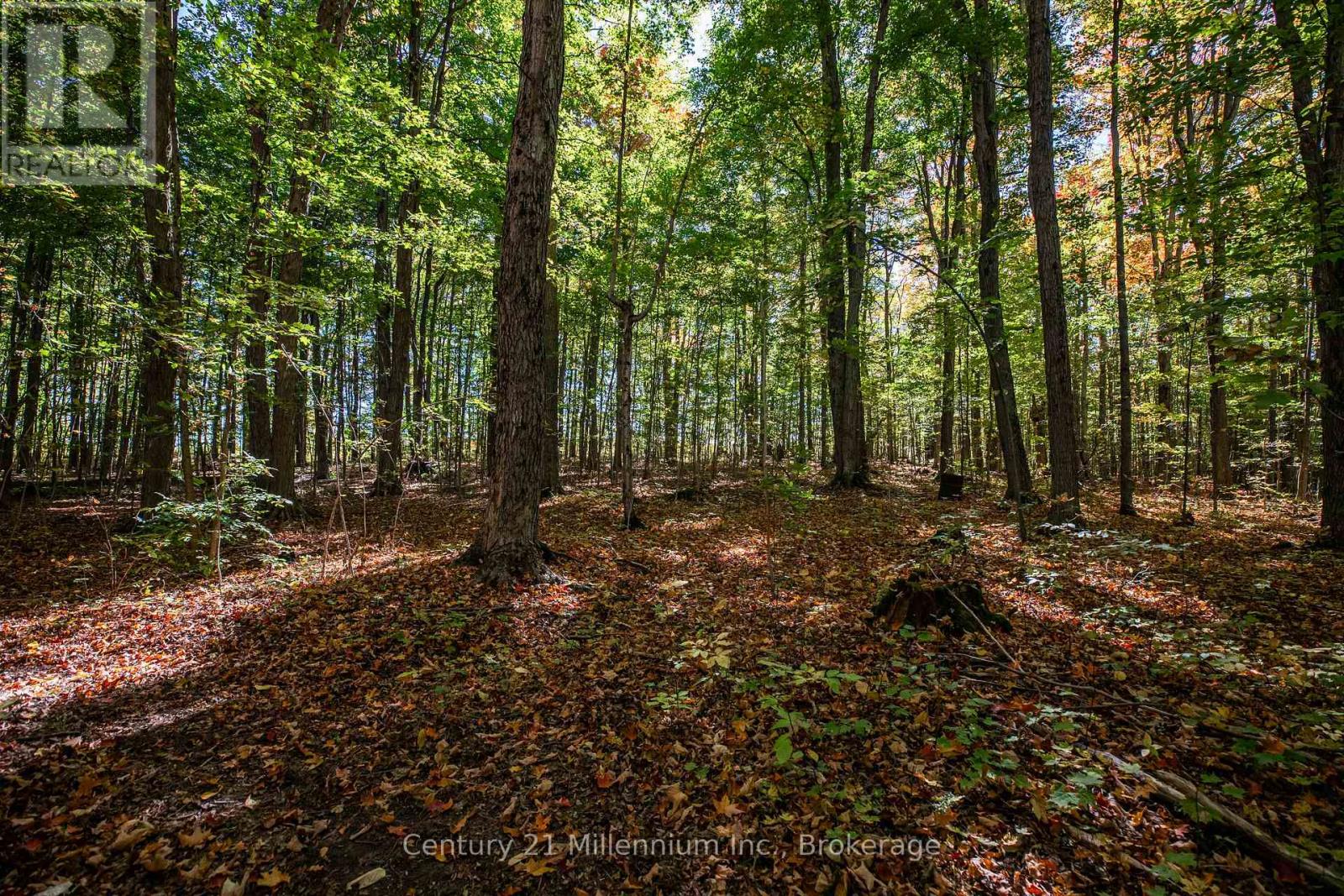 374518 6th Line, Amaranth, Ontario  L9W 0M7 - Photo 35 - X12551470