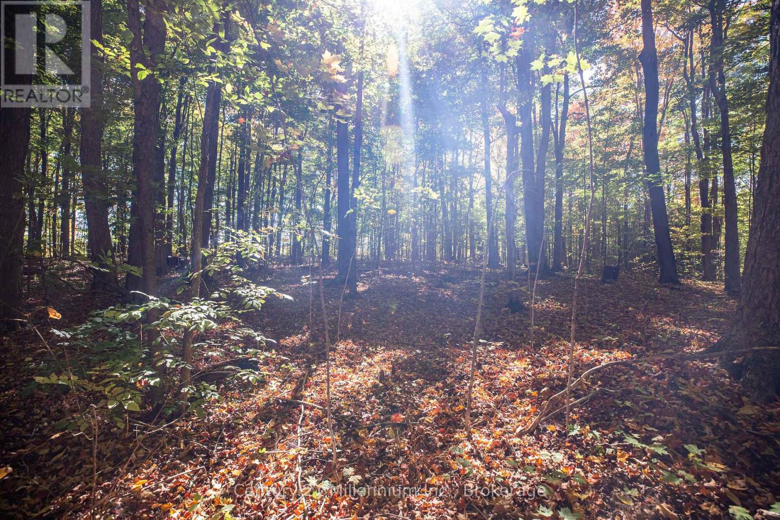 374518 6th Line, Amaranth, Ontario  L9W 0M7 - Photo 36 - X12551470