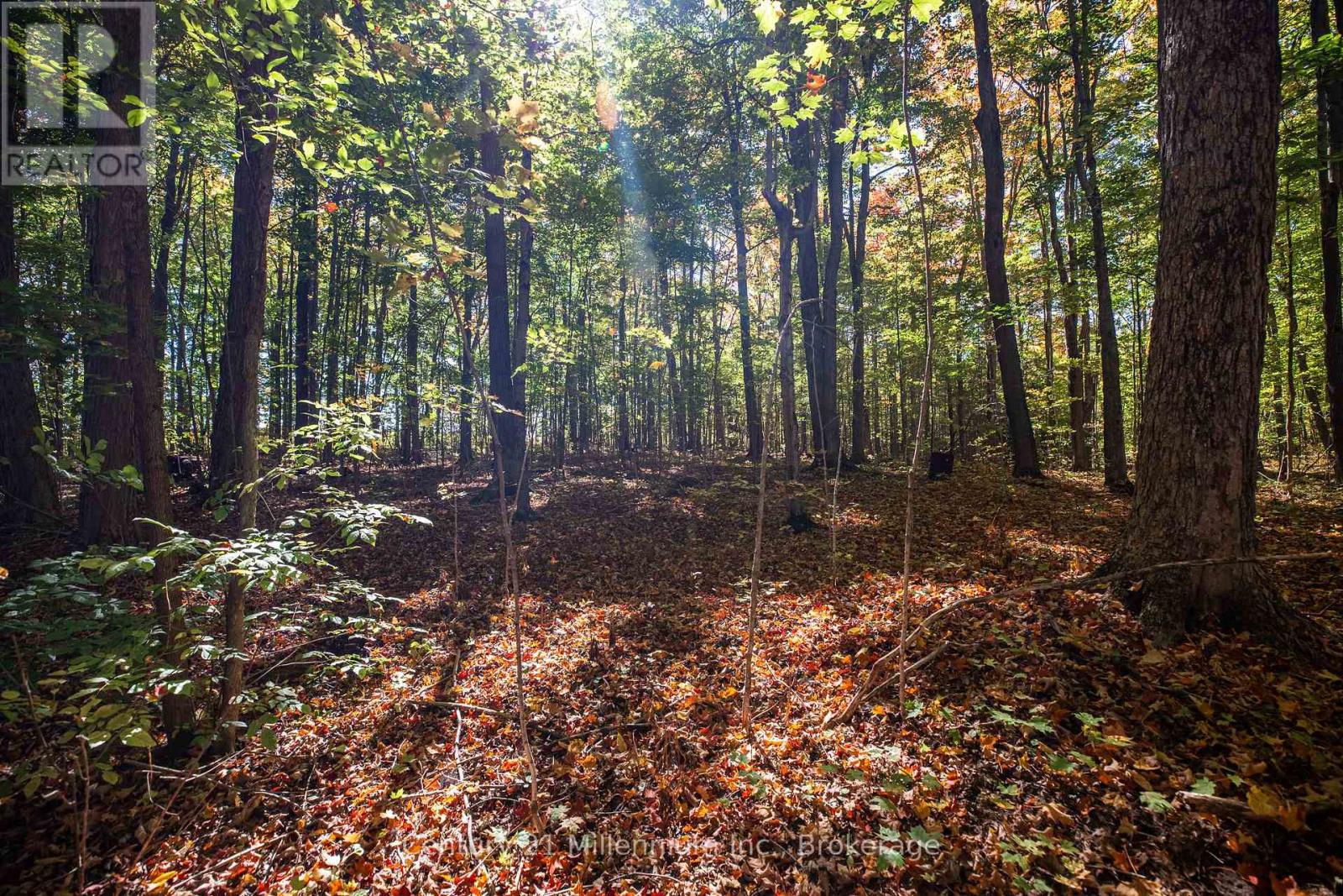 374518 6th Line, Amaranth, Ontario  L9W 0M7 - Photo 37 - X12551470