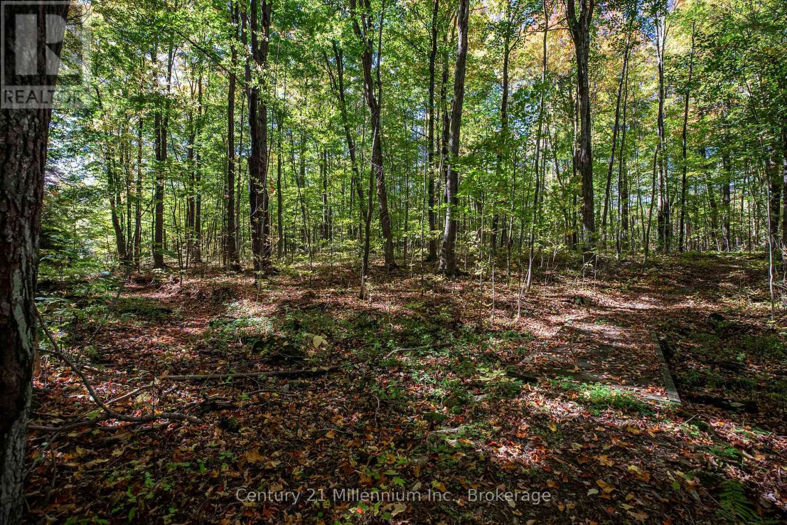 374518 6th Line, Amaranth, Ontario  L9W 0M7 - Photo 40 - X12551470