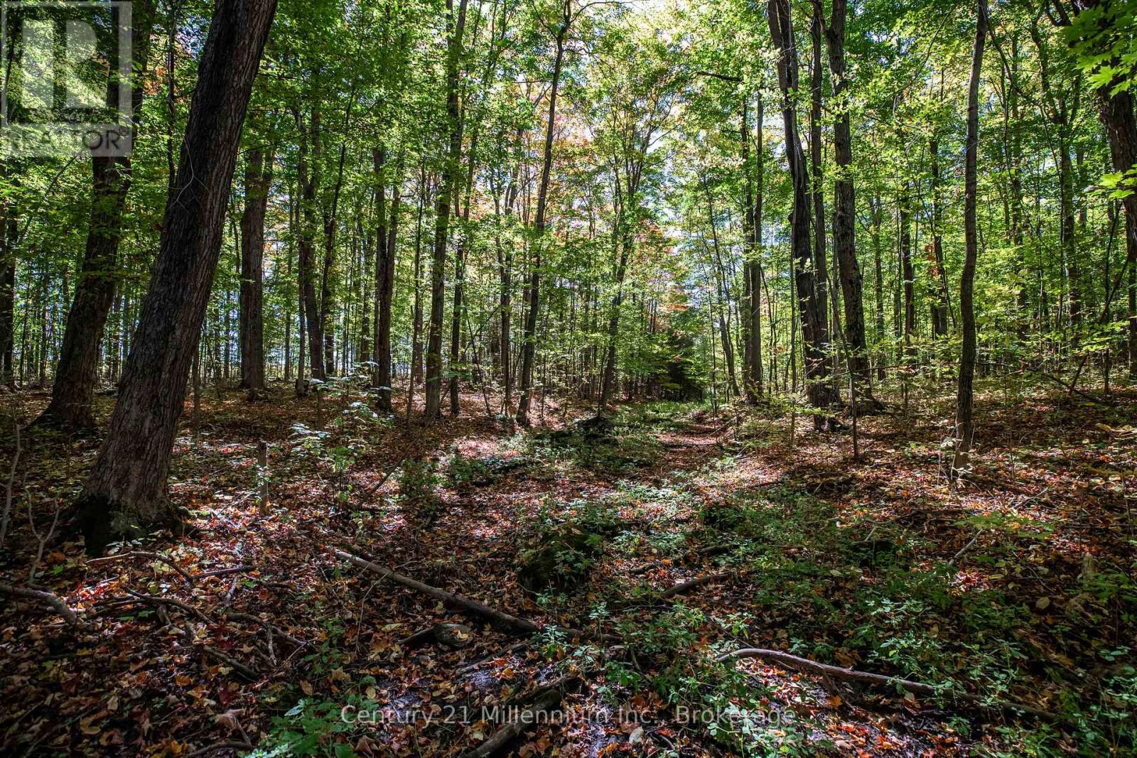 374518 6th Line, Amaranth, Ontario  L9W 0M7 - Photo 41 - X12551470