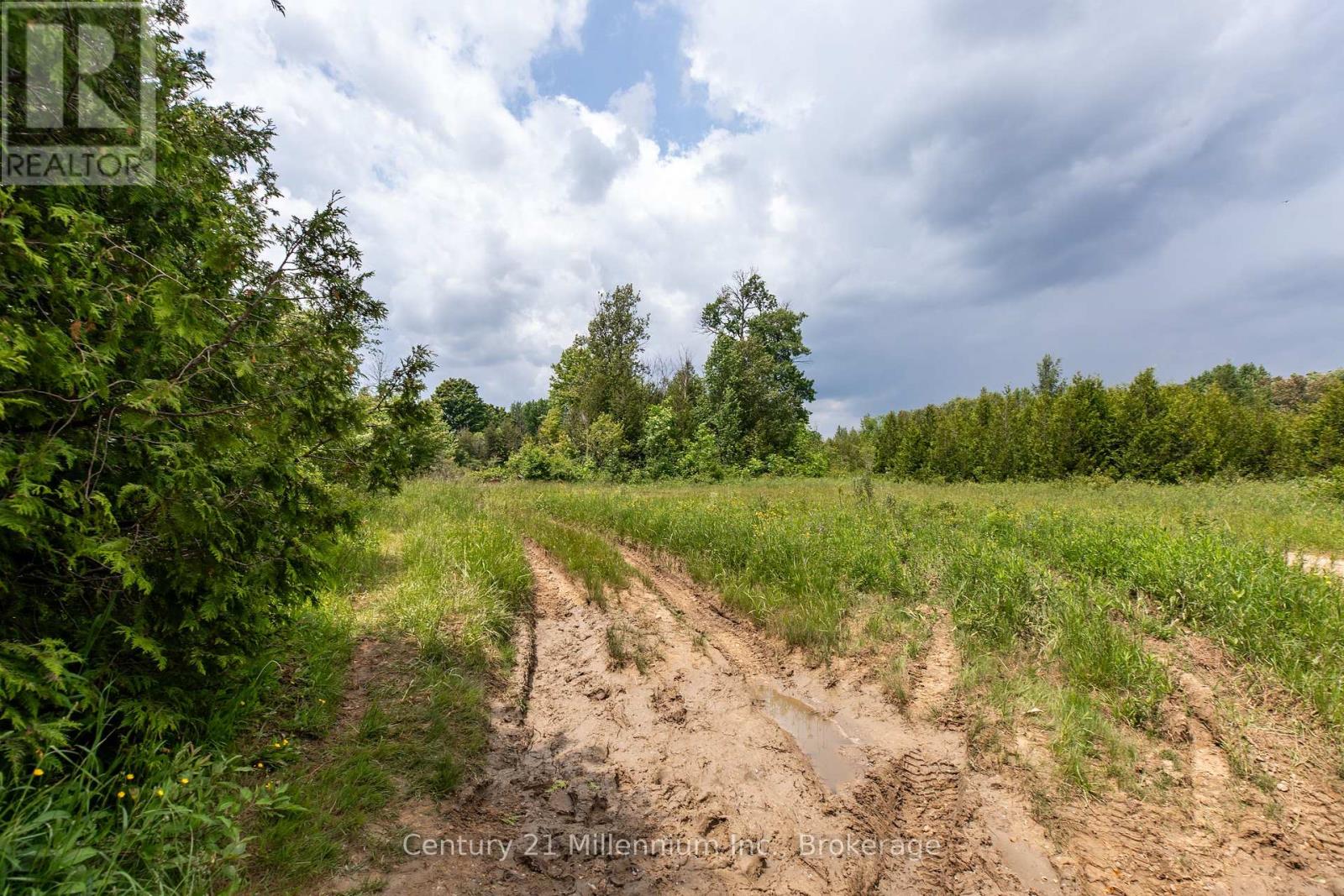 135389 Concession 8 Road, Chatsworth, Ontario N0H 1K0 - Photo 24 - X12551506