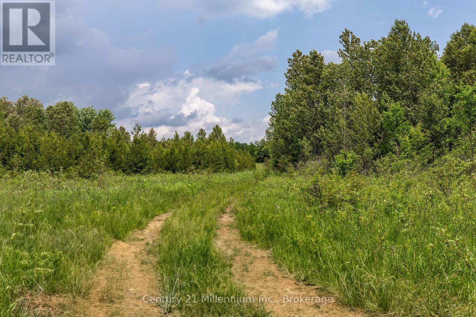 135389 Concession 8 Road, Chatsworth, Ontario N0H 1K0 - Photo 25 - X12551506