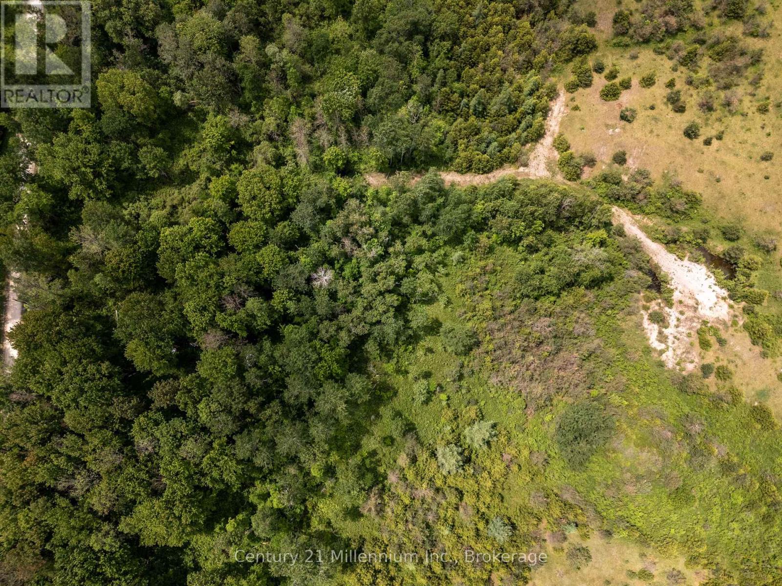 135389 Concession 8 Road, Chatsworth, Ontario N0H 1K0 - Photo 34 - X12551506