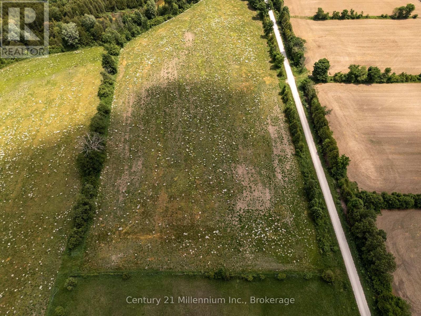 135389 Concession 8 Road, Chatsworth, Ontario N0H 1K0 - Photo 4 - X12551506