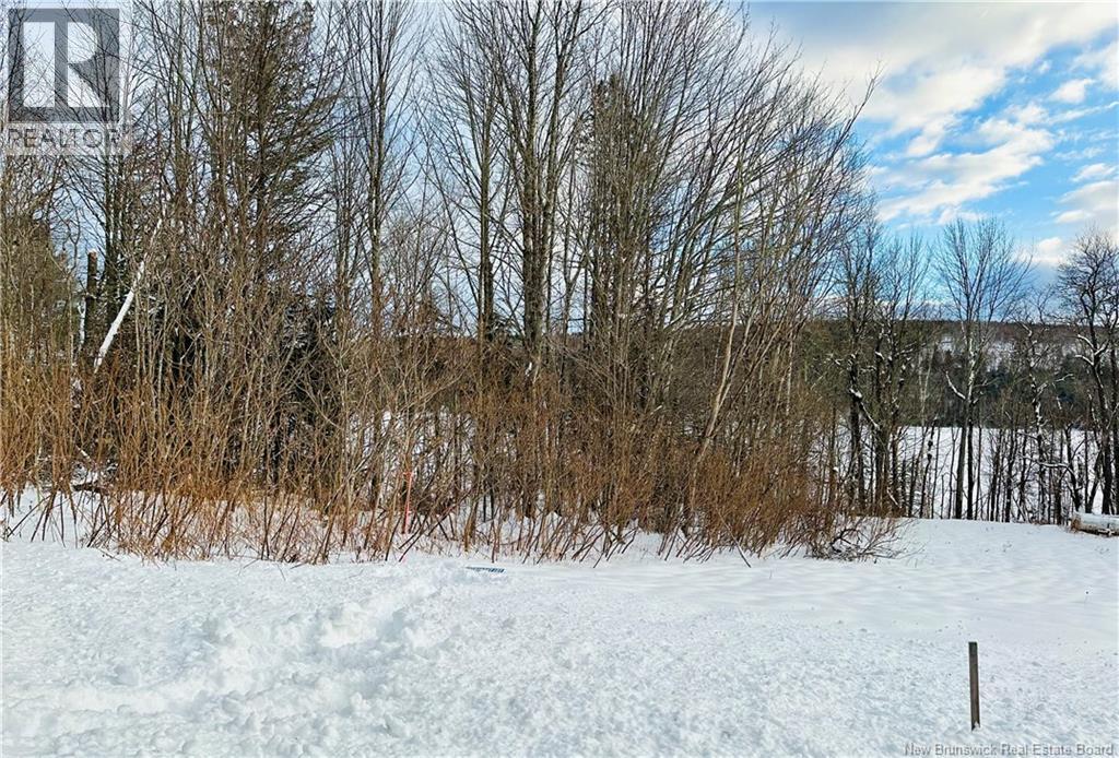 Lot 09-01 Route 105, Southampton, New Brunswick  E6G 1N2 - Photo 25 - NB107457
