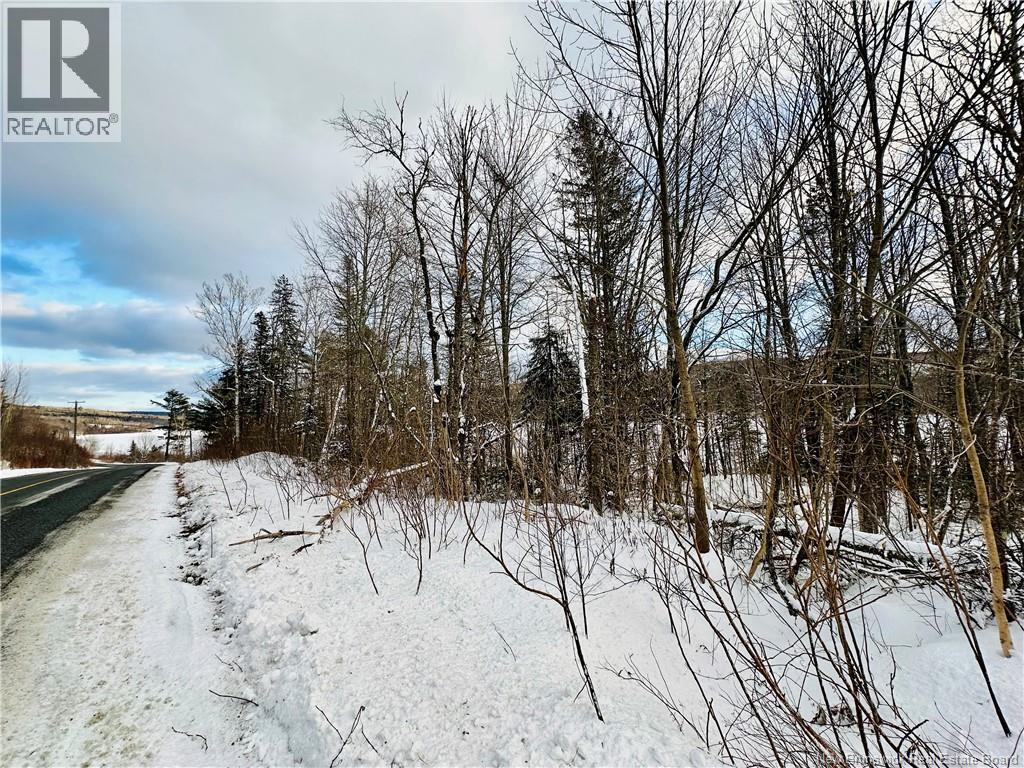 Lot 09-01 Route 105, Southampton, New Brunswick  E6G 1N2 - Photo 23 - NB107457