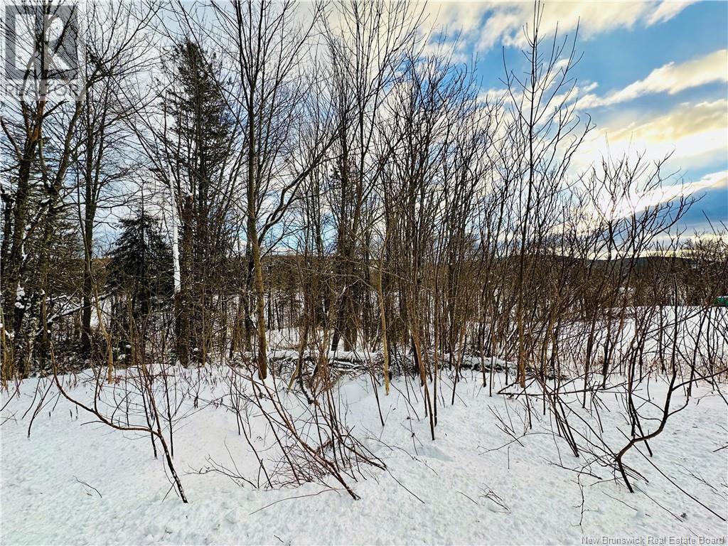 Lot 09-01 Route 105, Southampton, New Brunswick  E6G 1N2 - Photo 26 - NB107457