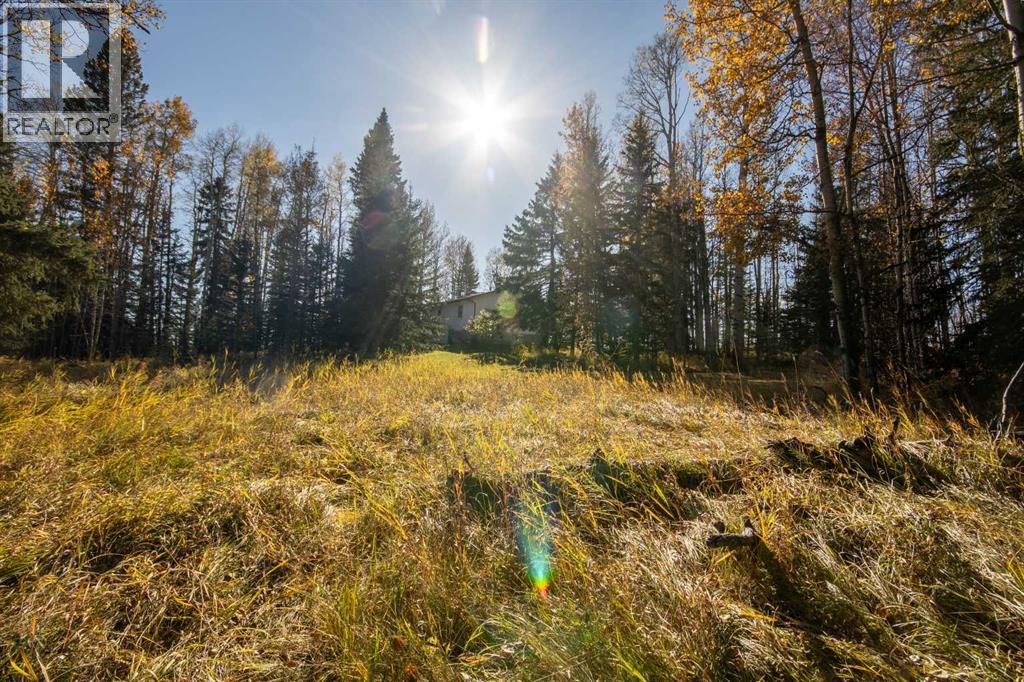 33449 Highway 584, Rural Mountain View County, Alberta T0M 1X0 - Photo 38 - A2263572