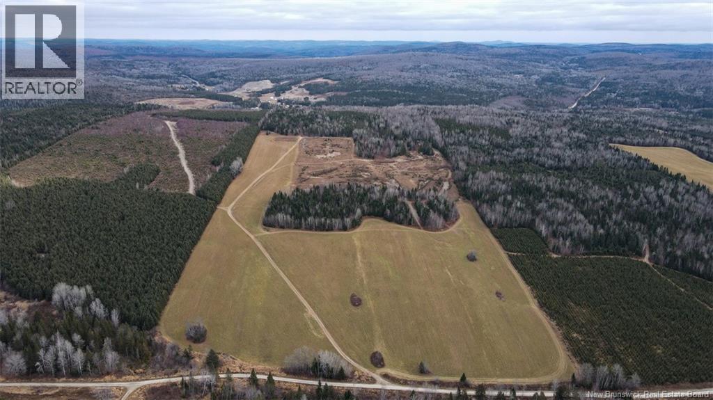 Lot Pinniquine Road, Baker Brook, New Brunswick  E7A 1W6 - Photo 1 - NB130091