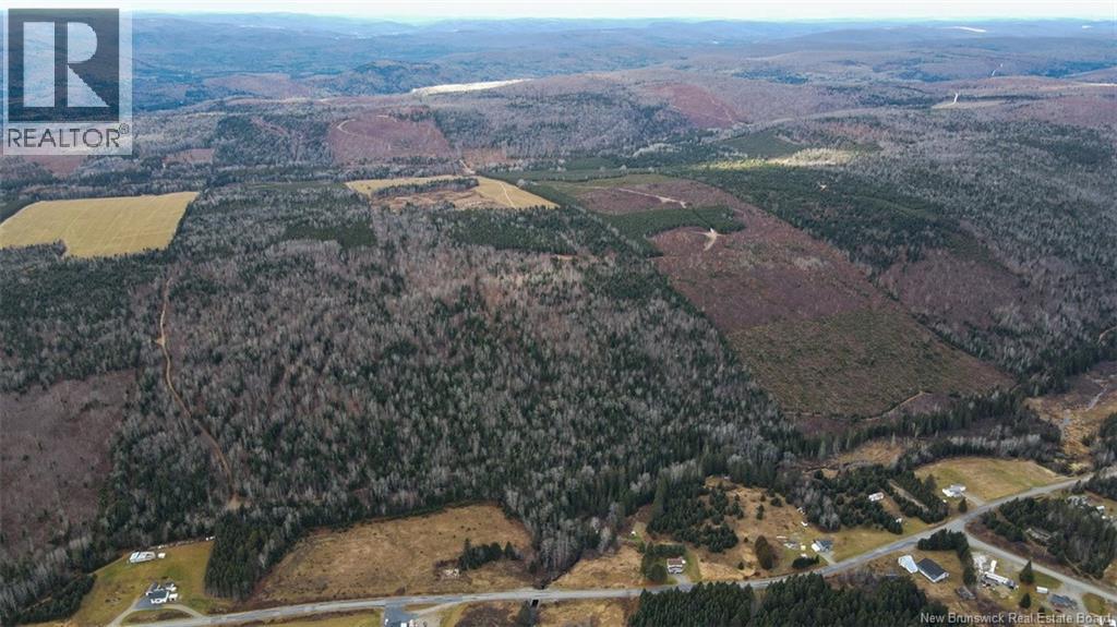 Lot Pinniquine Road, Baker Brook, New Brunswick  E7A 1W6 - Photo 10 - NB130091