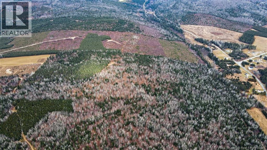 Lot Pinniquine Road, Baker Brook, New Brunswick  E7A 1W6 - Photo 11 - NB130091