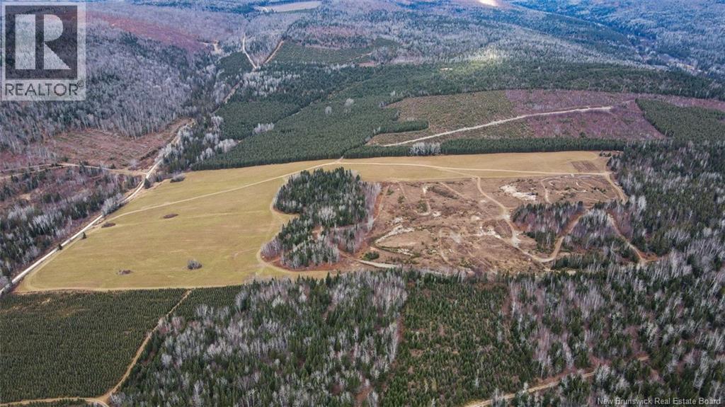 Lot Pinniquine Road, Baker Brook, New Brunswick  E7A 1W6 - Photo 12 - NB130091