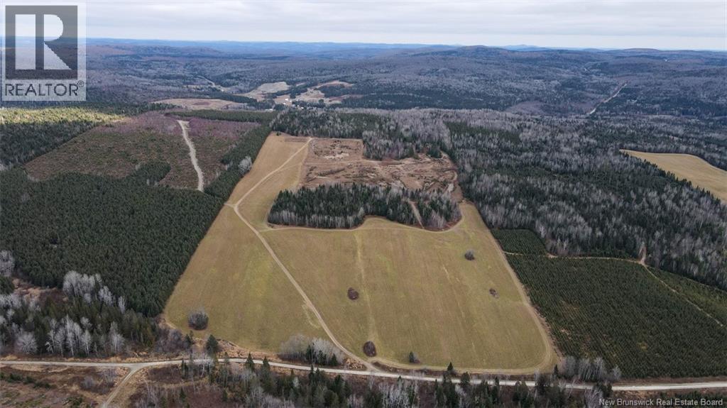 Lot Pinniquine Road, Baker Brook, New Brunswick  E7A 1W6 - Photo 13 - NB130091