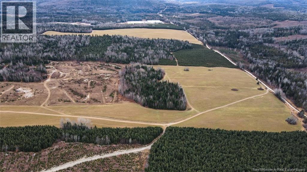 Lot Pinniquine Road, Baker Brook, New Brunswick  E7A 1W6 - Photo 3 - NB130091