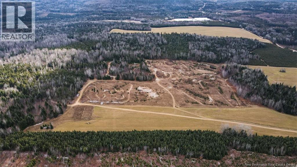 Lot Pinniquine Road, Baker Brook, New Brunswick  E7A 1W6 - Photo 4 - NB130091