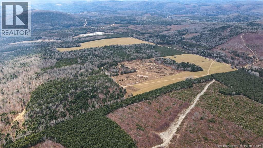 Lot Pinniquine Road, Baker Brook, New Brunswick  E7A 1W6 - Photo 5 - NB130091