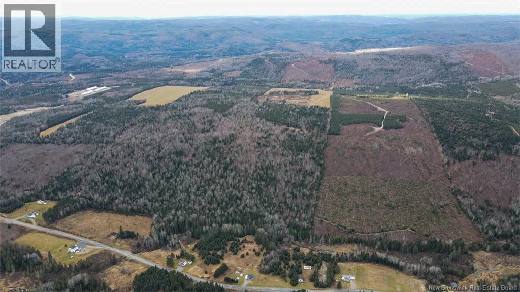 Lot Pinniquine Road, Baker Brook, New Brunswick  E7A 1W6 - Photo 6 - NB130091