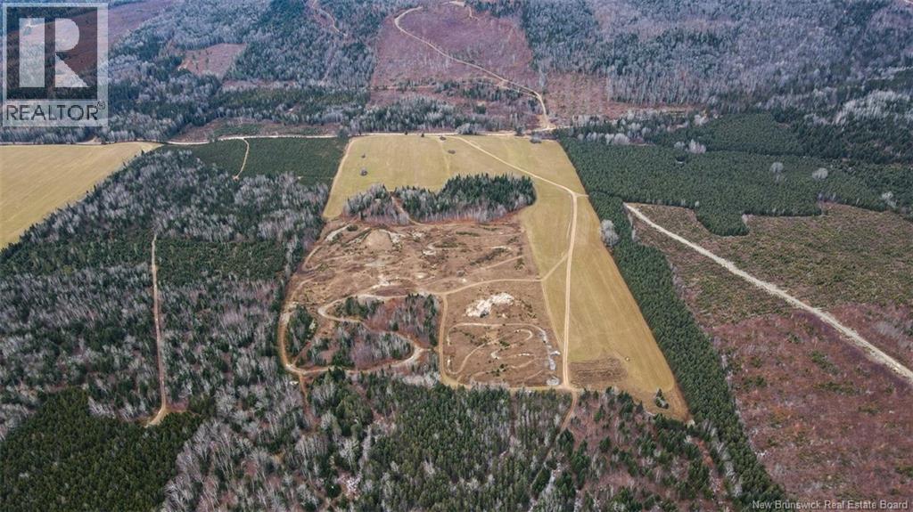 Lot Pinniquine Road, Baker Brook, New Brunswick  E7A 1W6 - Photo 7 - NB130091
