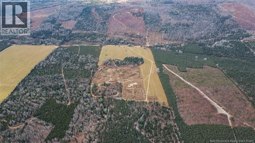 Lot Pinniquine Road, Baker Brook, New Brunswick  E7A 1W6 - Photo 8 - NB130091