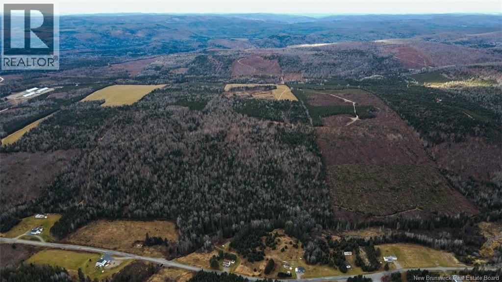 Lot Pinniquine Road, Baker Brook, New Brunswick  E7A 1W6 - Photo 9 - NB130091