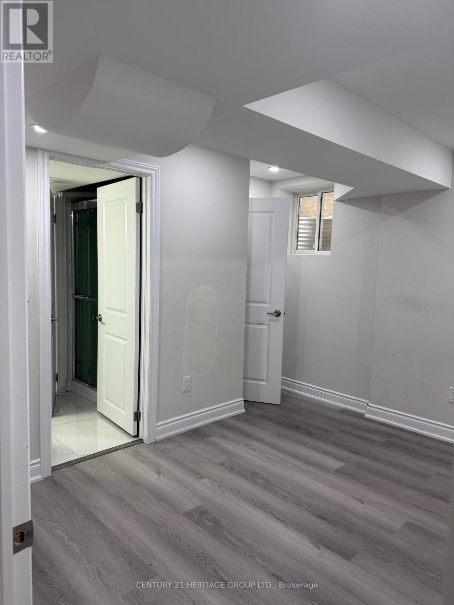 Basement - 43 Allangrove Avenue, East Gwillimbury, Ontario L9N 0X6 - Photo 4 - N12551626