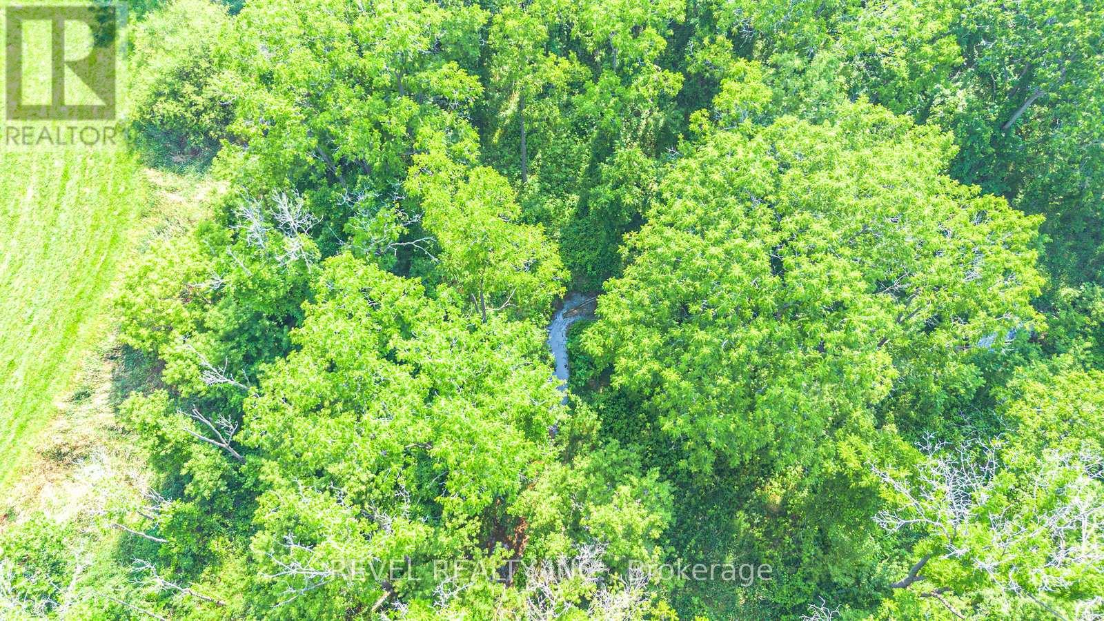 Pt Lt 15 Conc 3 Norfolk County Road 19, Norfolk, Ontario  N0E 1Z0 - Photo 8 - X12551630