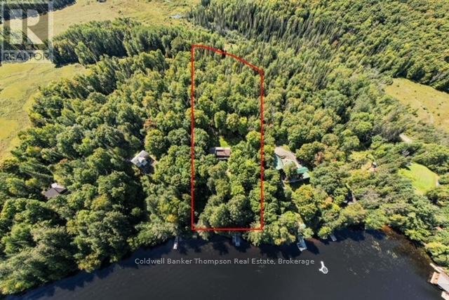 115 Sandwood Drive, Ryerson, Ontario  P0A 1C0 - Photo 6 - X12204336