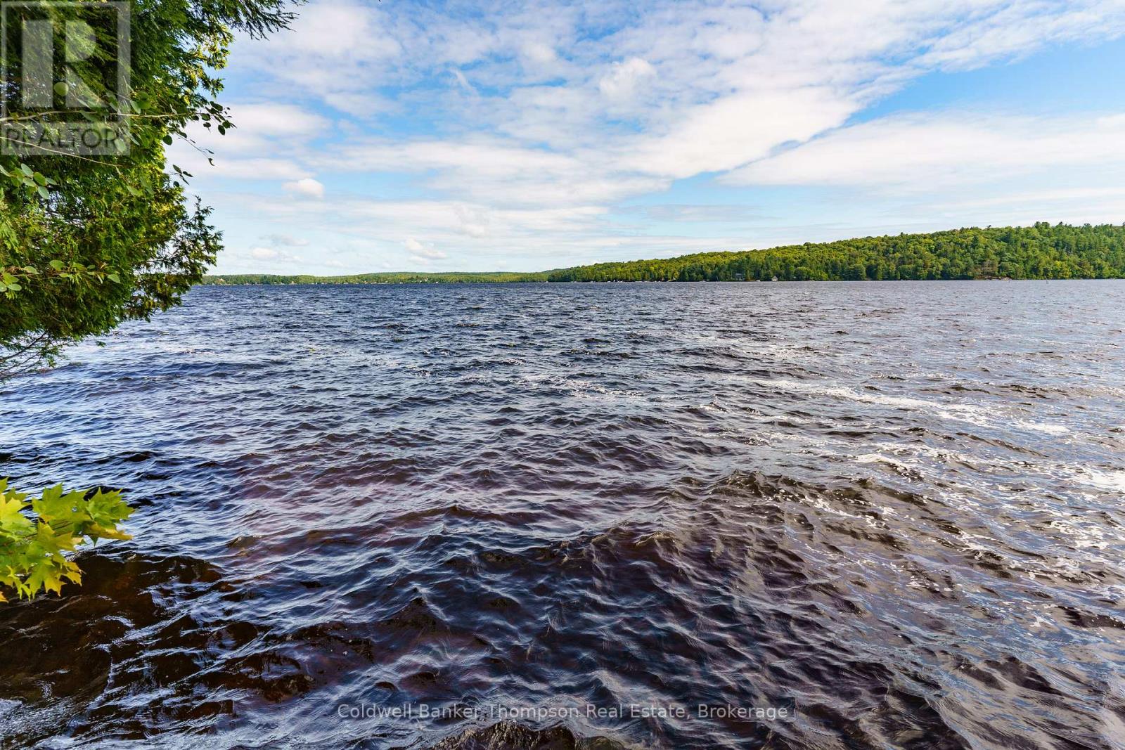 115 Sandwood Drive, Ryerson, Ontario  P0A 1C0 - Photo 34 - X12204336