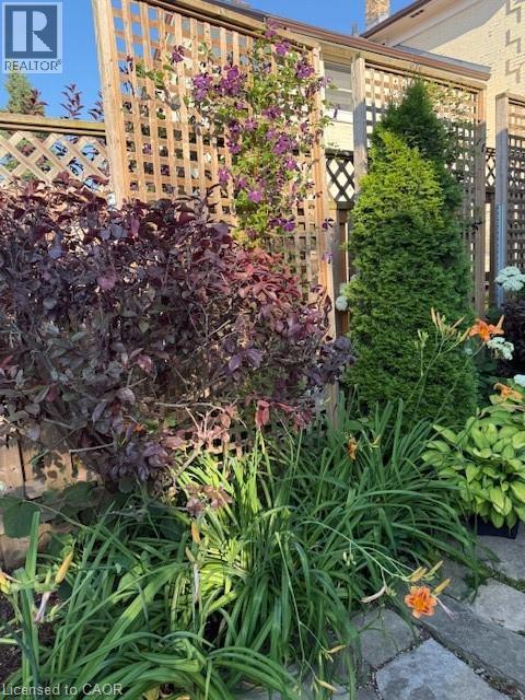 501 George Street, Woodstock, Ontario  N4S 4J3 - Photo 47 - 40786081