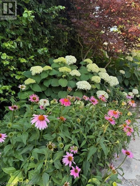 501 George Street, Woodstock, Ontario  N4S 4J3 - Photo 46 - 40786081