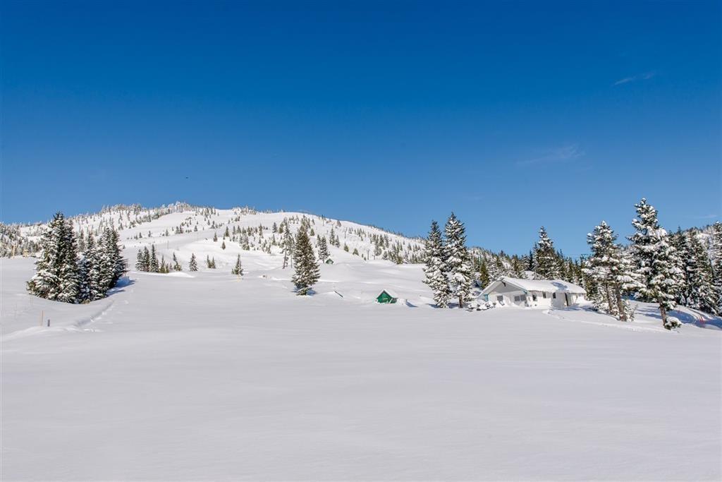 203b 21000 Enzian Way, Mission, British Columbia  V0M 1A1 - Photo 3 - R3067684