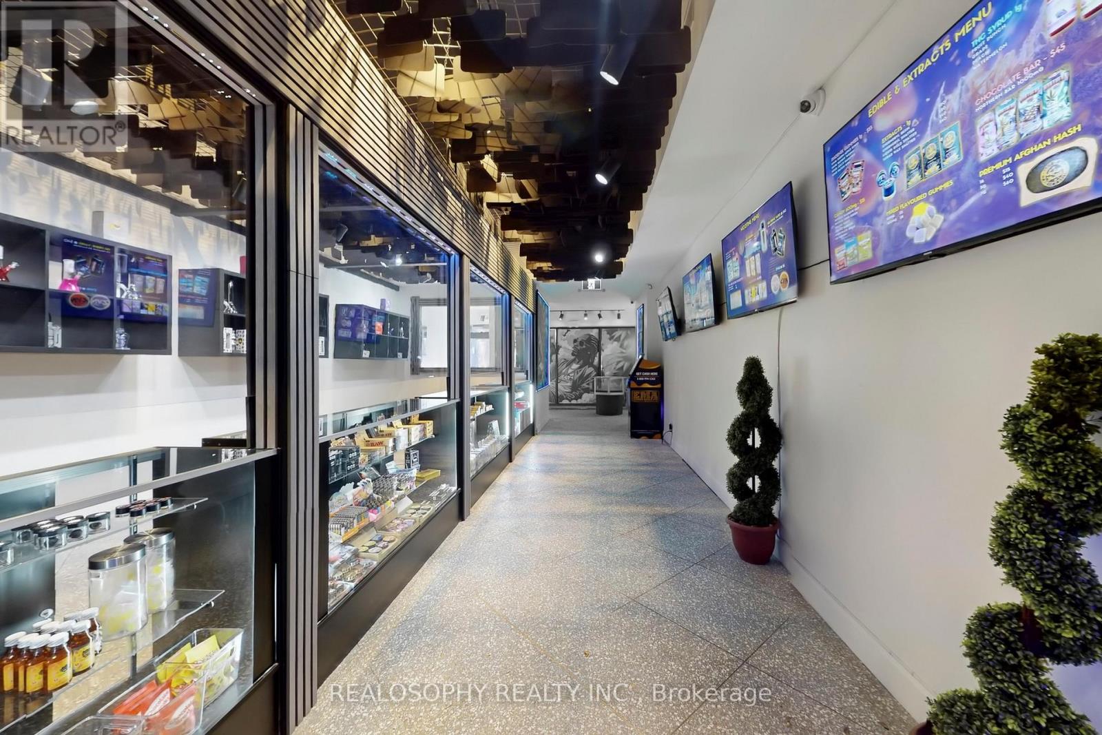 518 Queen Street W, Toronto, Ontario  M5V 2B3 - Photo 11 - C12551728