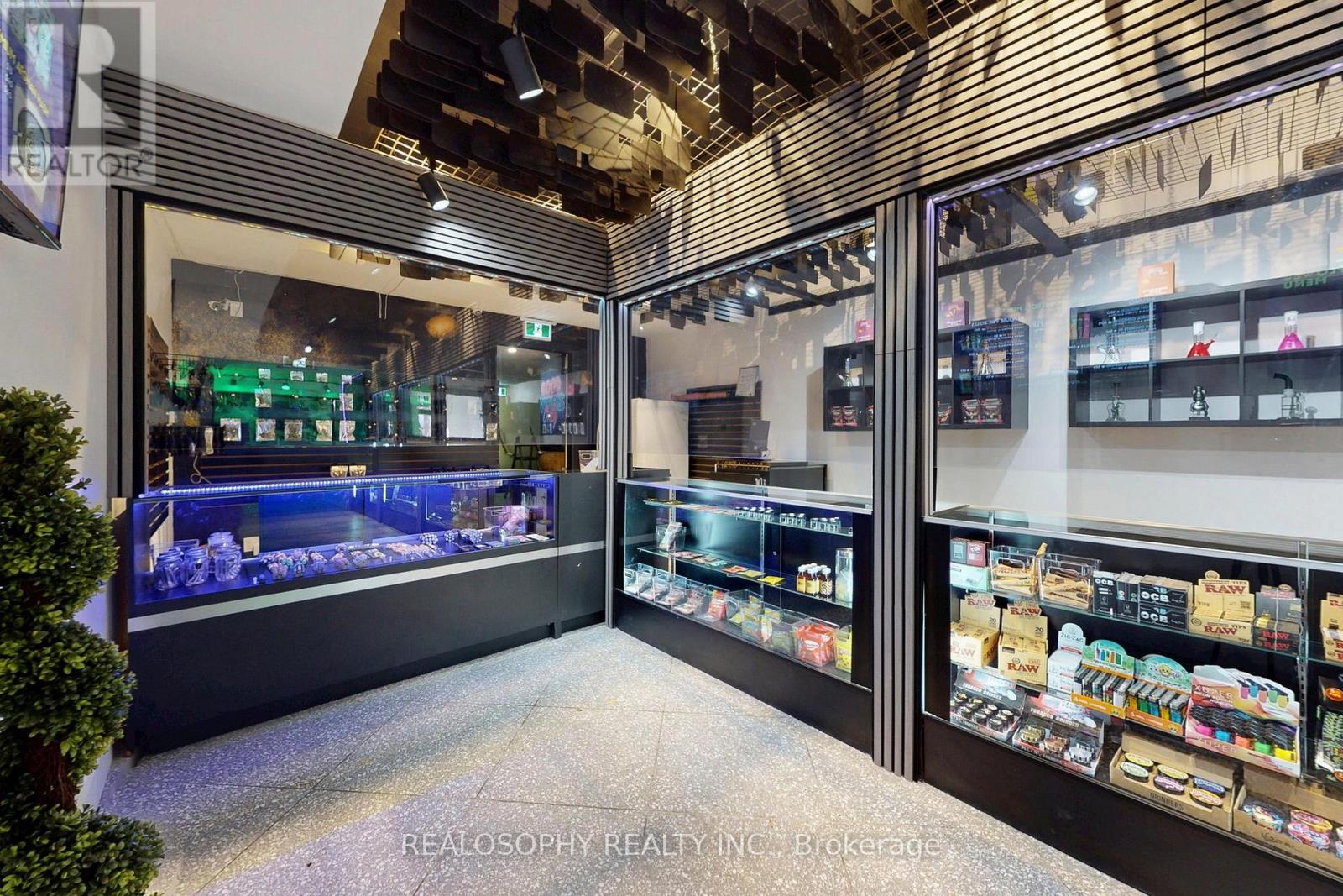 518 Queen Street W, Toronto, Ontario  M5V 2B3 - Photo 13 - C12551728