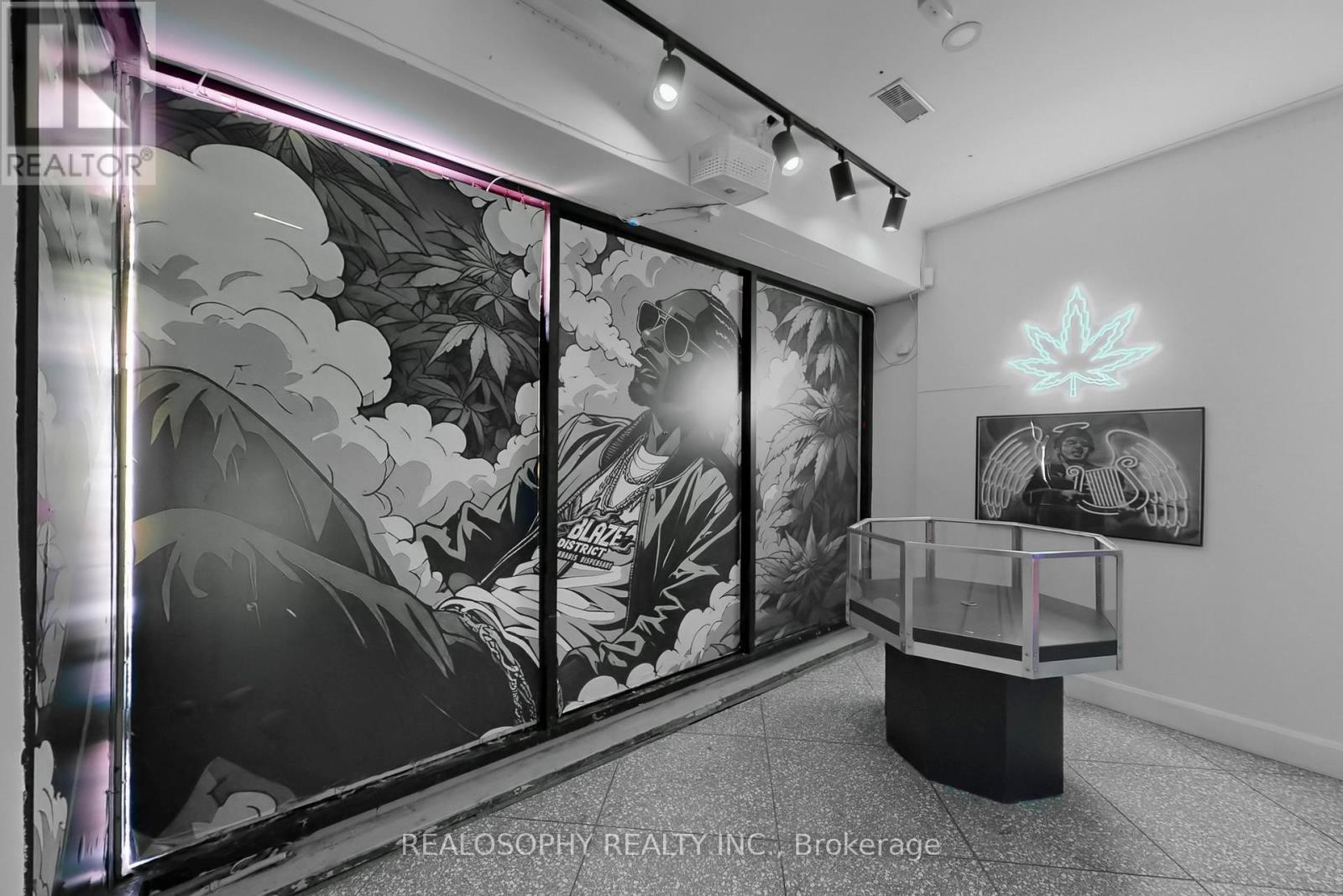 518 Queen Street W, Toronto, Ontario  M5V 2B3 - Photo 5 - C12551728